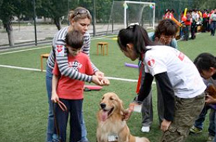 20090328szdd