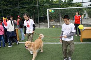 20090328szdd