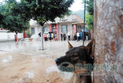 20100818yuxidog