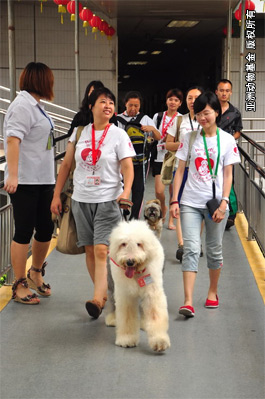 20110716gzdd