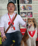 2011dd_introduction