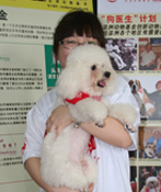 2011dd_introduction