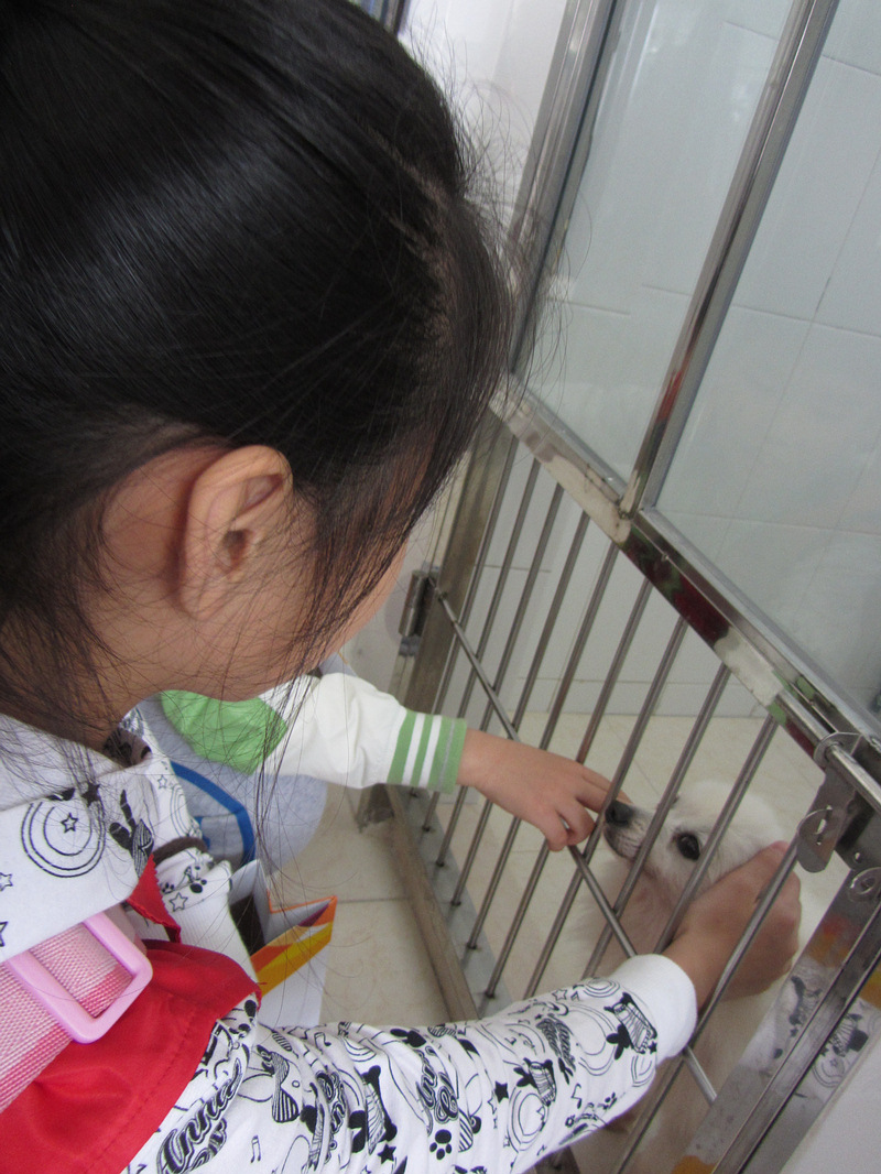 2013.04.21guangzhou_dog_shelter_opening_day