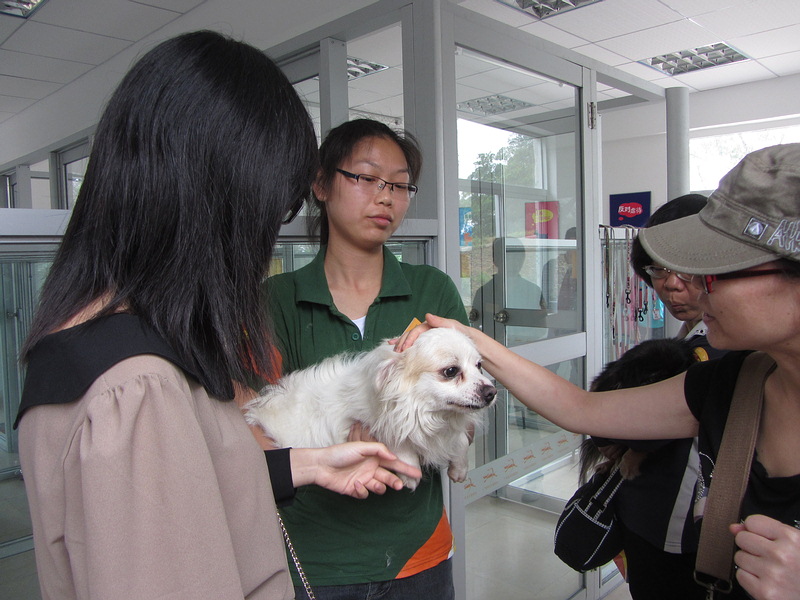 2013.04.21guangzhou_dog_shelter_opening_day