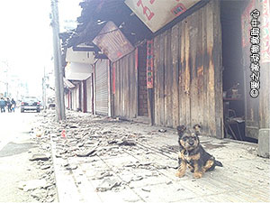 20130425ya'an-earthquake
