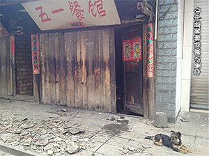 20130425ya'an-earthquake