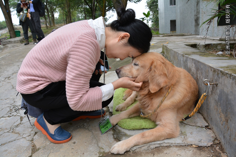 A delegate says hello to a dog in  visit Guangzhou Municipal Dog Shelter