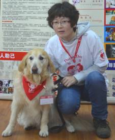 2014GZDD阿迪
