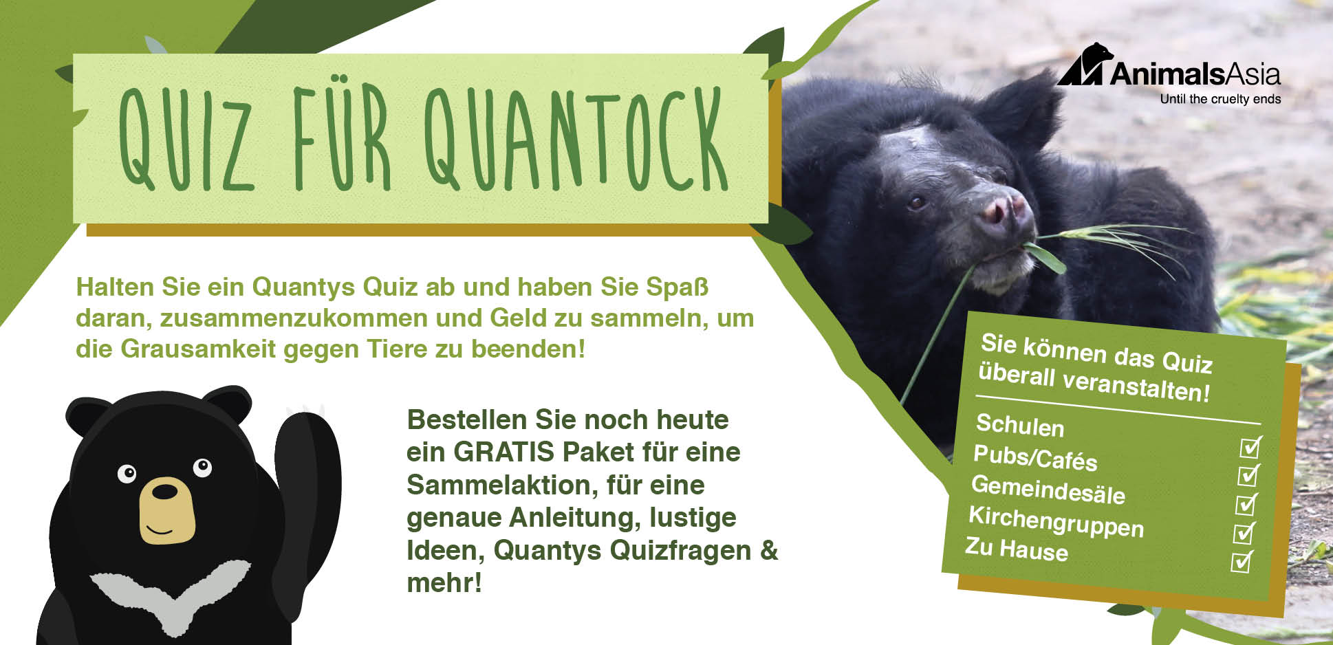 Web banner Quiz