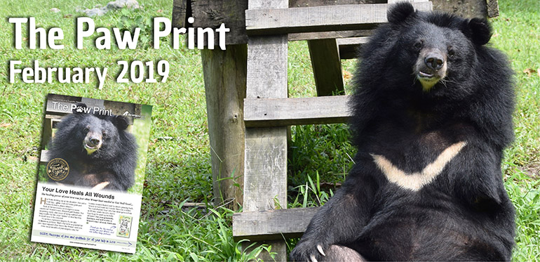 Paw Print Feb 2019