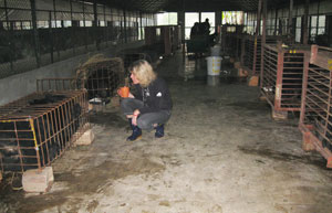 Jill at bile farm