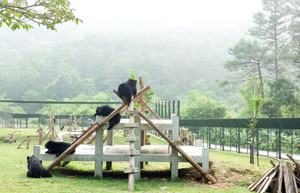 Play equipment