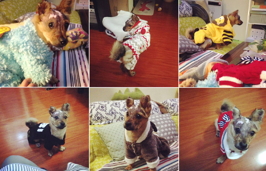 Stylish Tuffy in various outfits