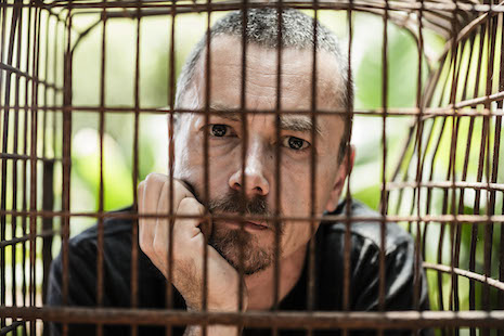 Simon in a cage for Animals Asia