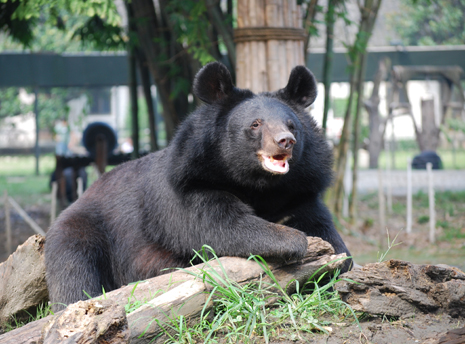 Jingle happy at the sanctuary