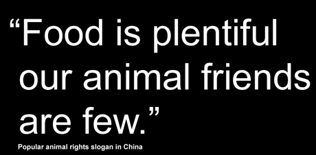 China animal rights slogan