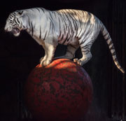 Tiger in a circus