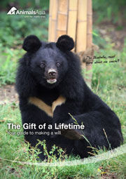 The Gift of a Lifetime