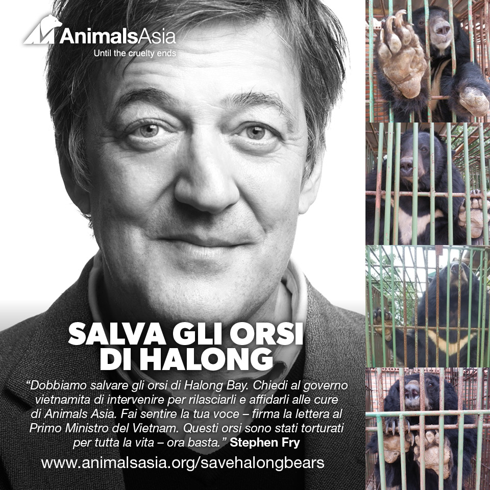 British comedian, actor and writer Stephen Fry