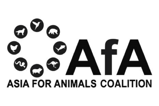 Be a voice for all animals
