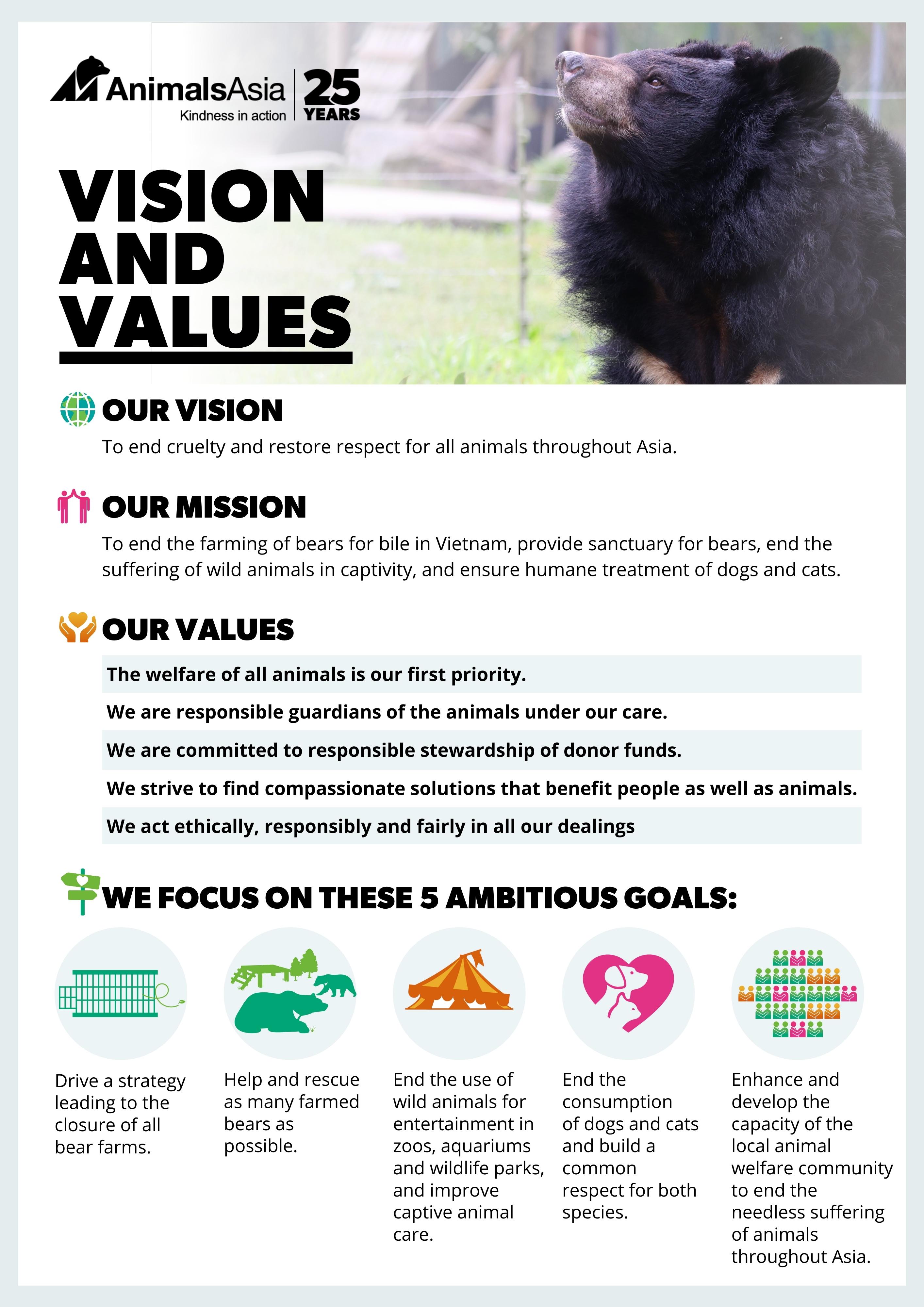 VISION AND VALUES
