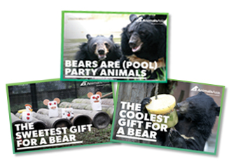 grizzly bear gifts