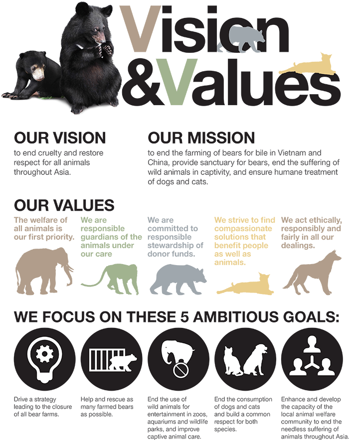 VISION AND VALUES