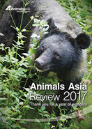 2017 Annual Review