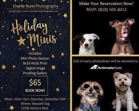 Holiday Minis