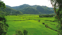 Mai-Chau
