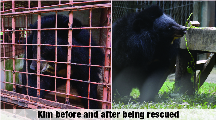 Sun shines on recently rescued moon bear for first time after 13 years of  cruelty