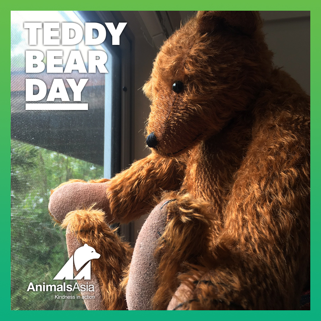 today teddy bear day