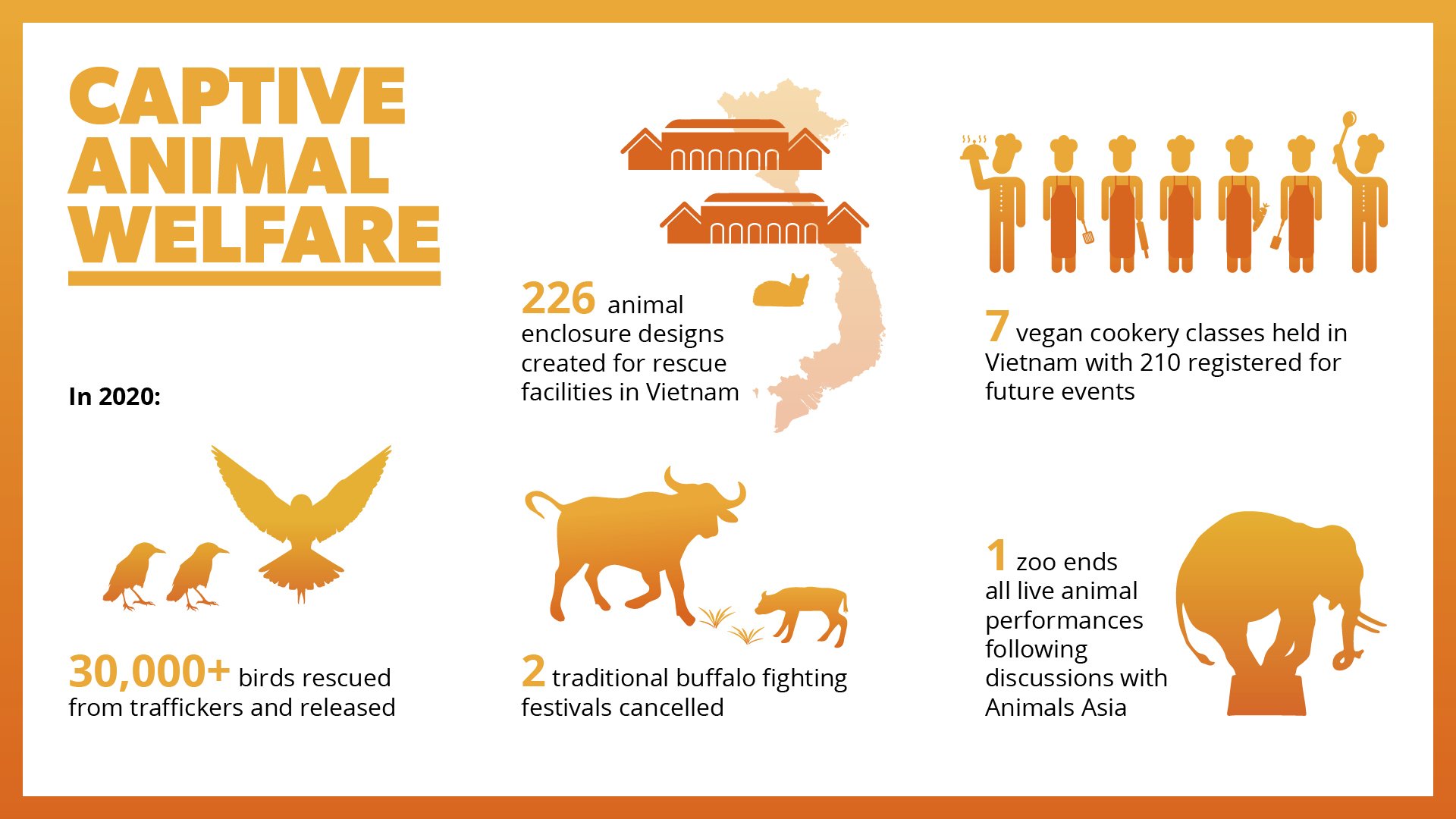 A look back at some Wow! facts and stats from across Animals Asia's work in  2020