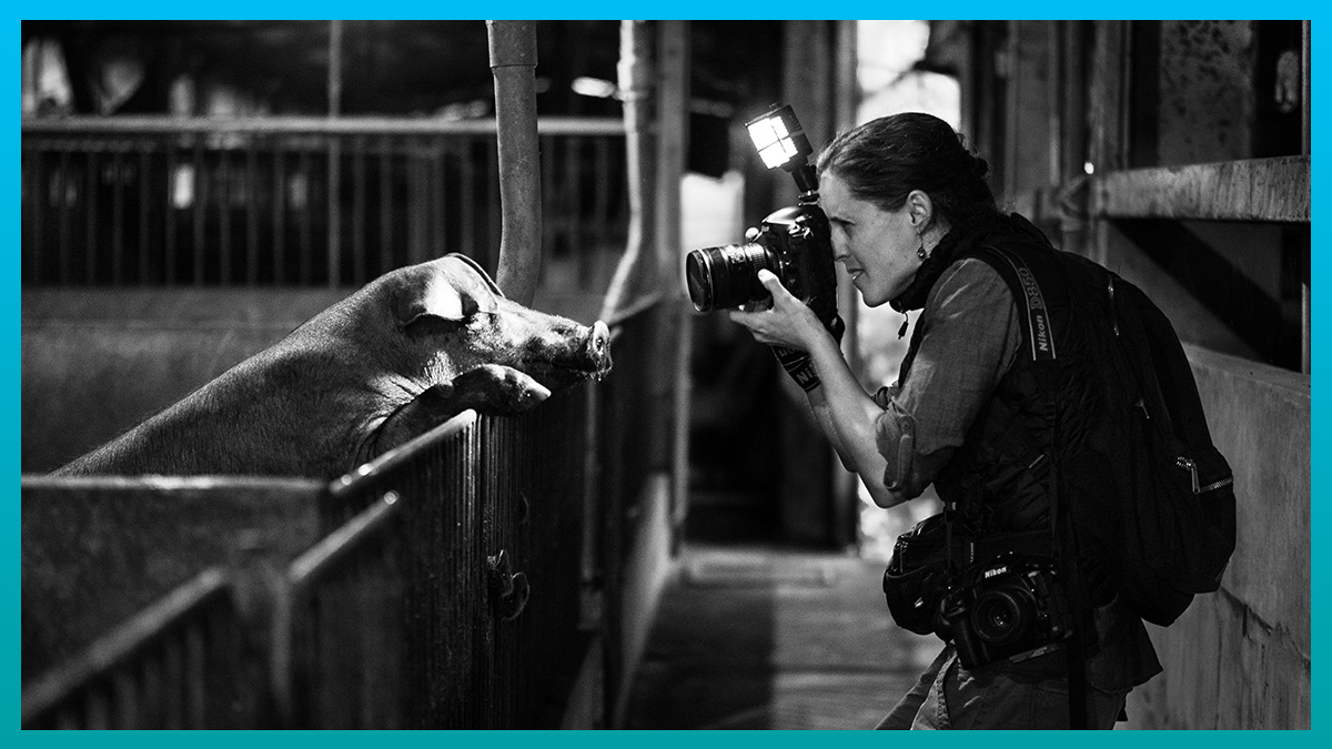 International Women's Day: Women who are changing the world for animals