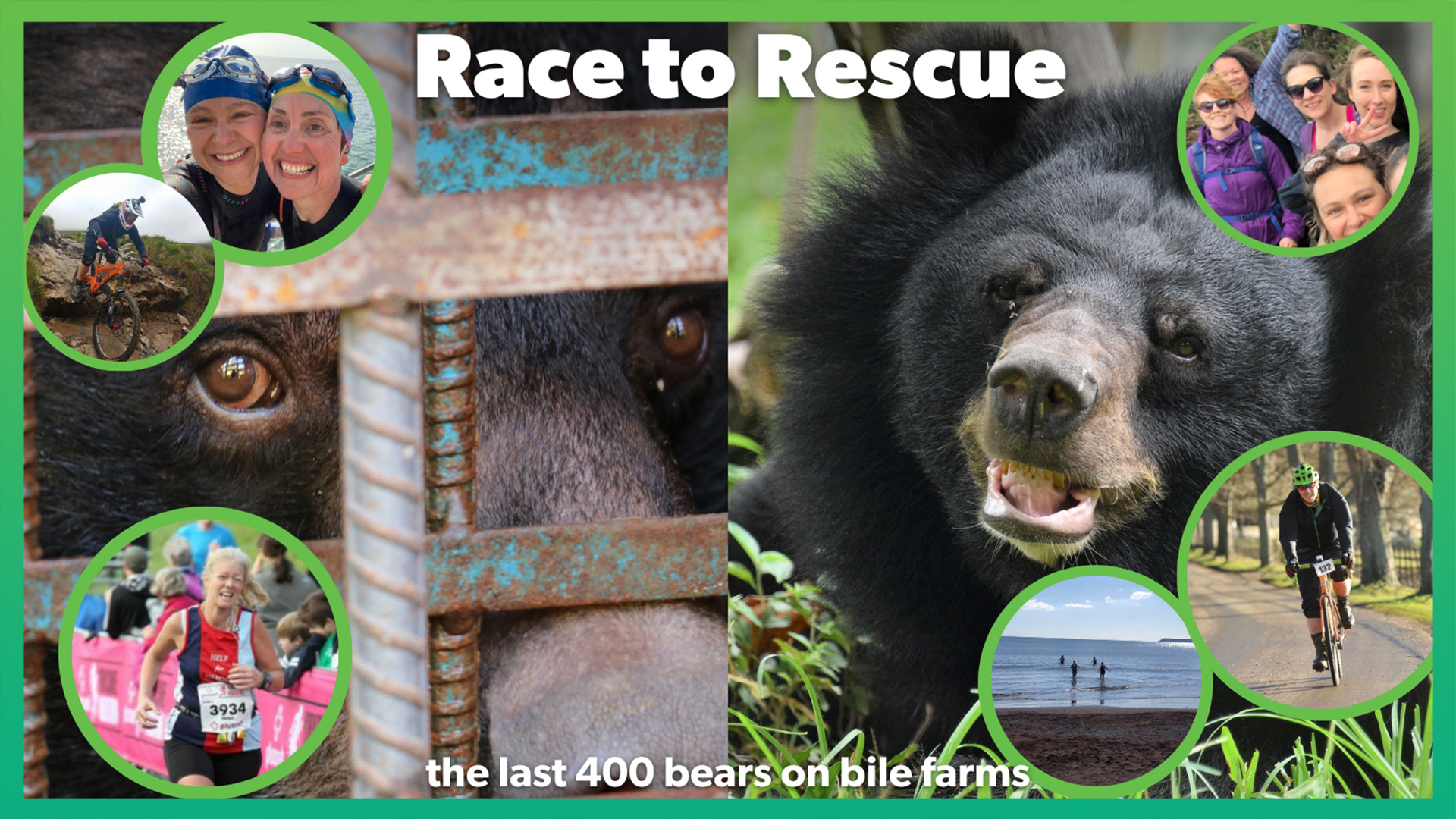 Moon Bear Heroes raise thousands for new bear sanctuary