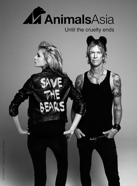 Image result for duff mckagan animal welfare images