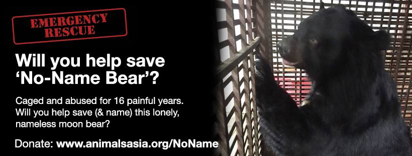 Breaking News: Animals Asia rescue team set to free 200th bear from bile  farm cruelty in Vietnam