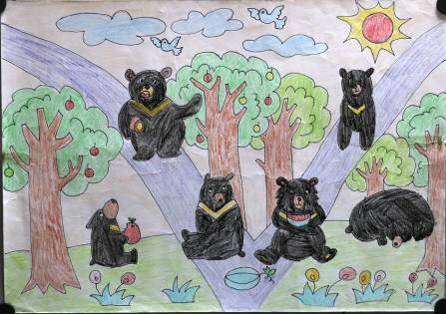 Xem ngay vẽ tranh bảo vệ gấu mang ý nghĩa cao