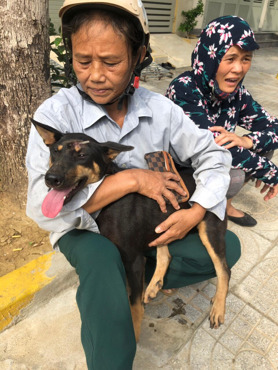 After surgery, a dog is reunited with family