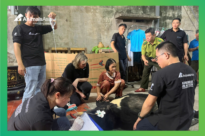 Đoàn cứu hộ và kiểm lâm tại hiện trường