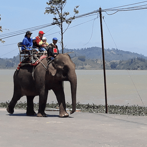 Asian elephant walking from left to right alongside lake wit blue sky and hills in the background, two people in sedan chair on its back and mahout sitting behind its head
