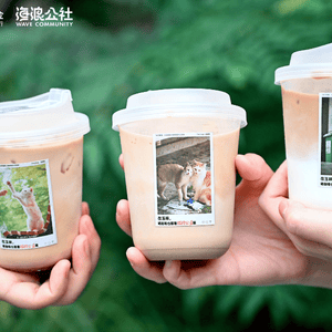 Image of three hands holding cream coloured take away coffee cups with stickers of companion animals attached.