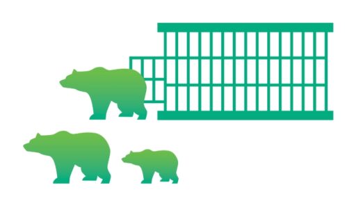 Animated image of three bears walking out of cages