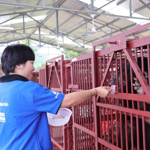 Sanctuary staff member feeds an Asiatic black bear through the bars of a red enclosure.