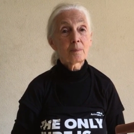 Person with white hair wearing a black "The Only Cure Is Kindness" t-shirt sitting indoors.