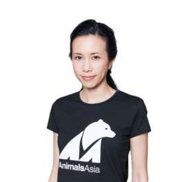 Person in a black Animals Asia t-shirt with bear logo standing against a plain white background.