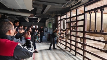 Visitors observe and photograph as a keeper interacts with an elephant through a metal barrier in an indoor enclosure.