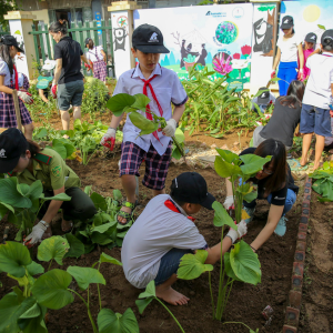 Children and adults plant young green plants in a community garden during an outdoor environmental event.
