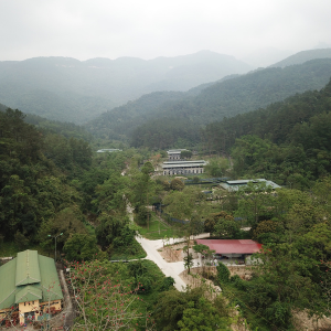 A panoramic, birds-eye view of a bear sanctuary surrounded by lush mountains as a mist settles in the background.