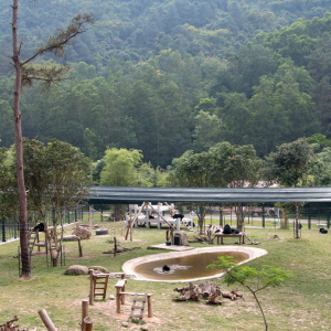 Birds eye view of a bear sanctuary enclosure with a large outdoor pool and climbing structures surrounded by lush mountains and trees.
